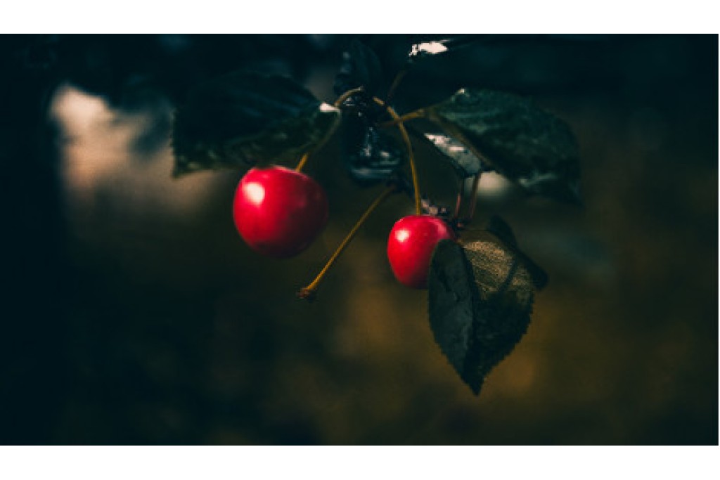 Deneme Blog Yazısı 2 Deneme Blog Yazısı 2