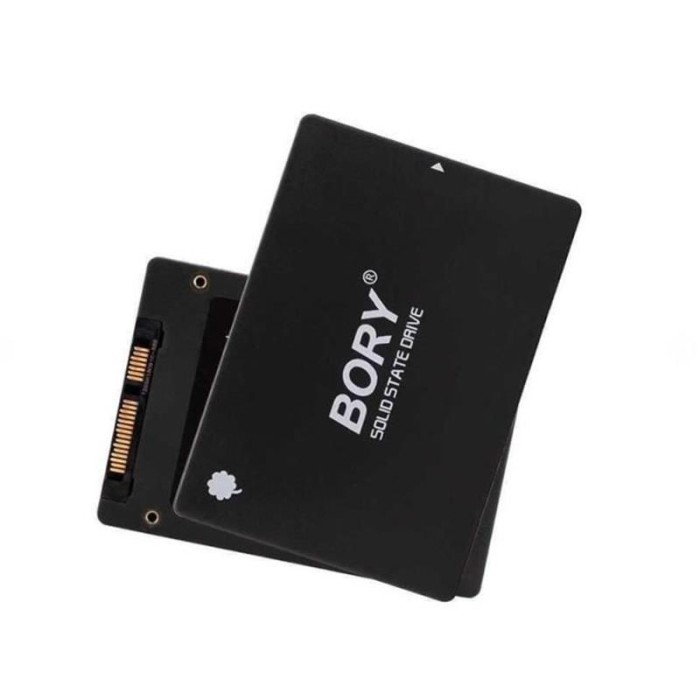 512 GB BORY SATA3 R500-C512G SSD 550/500 MBS