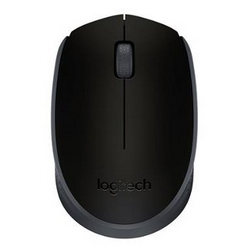 LOGITECH M171 KABLOSUZ USB SIYAH MOUSE 910-004424