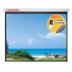 CODEGEN EX-24 240X200 MOTORLU UZAKTAN KUMANDALI