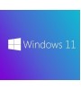 MS WINDOWS 11 PRO 64 BIT TURKCE OEM FQC-10556 MS WINDOWS 11 PRO 64 BIT TURKCE OEM FQC-10556