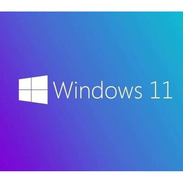 MS WINDOWS 11 PRO 64 BIT INGILIZCE OEM FQC-10528 MS WINDOWS 11 PRO 64 BIT INGILIZCE OEM FQC-10528