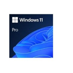 MS WINDOWS 11 PRO 32/64BIT TURKCE-INGILIZCE ESD FQC-10572 (ELEKTRONİK ORTAMDA GÖNDERİLİR)