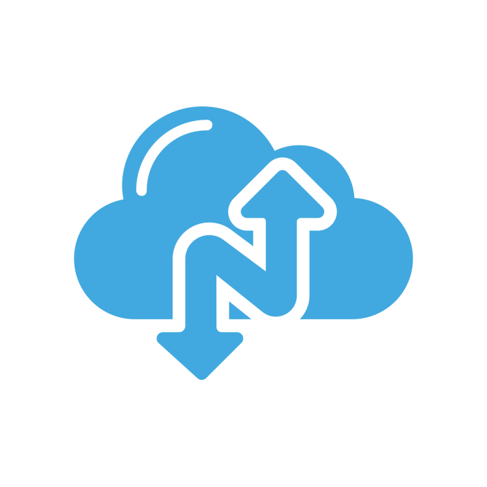 NARBULUT 100GB YEDEKLEME ALANI-1 SERVER - 1 AY